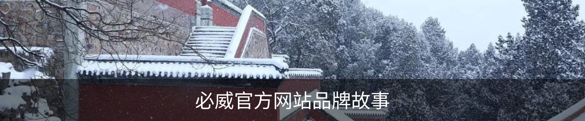 内页banner